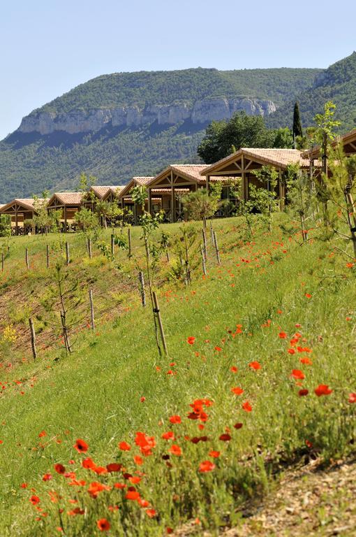 Domaine Saint Esteve Millau Szoba fotó